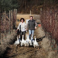 <strong>Cantina Di Filippo - Emma e Roberto Di Filippo</strong> - 